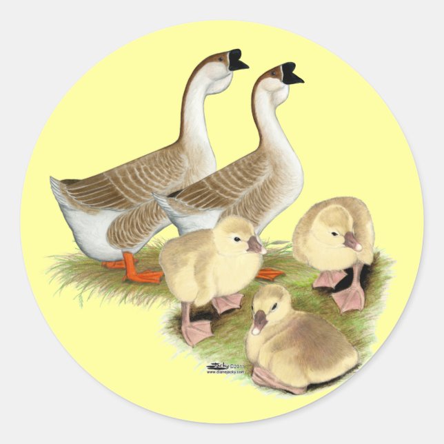 Buff African Goose Family Classic Round Sticker (Front)
