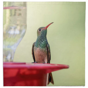 Buff-bellied hummingbird in Texas Cloth Napkin