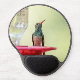 Buff-bellied hummingbird in Texas Gel Mouse Pad