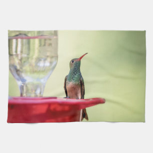 Buff-bellied hummingbird in Texas Kitchen Towel