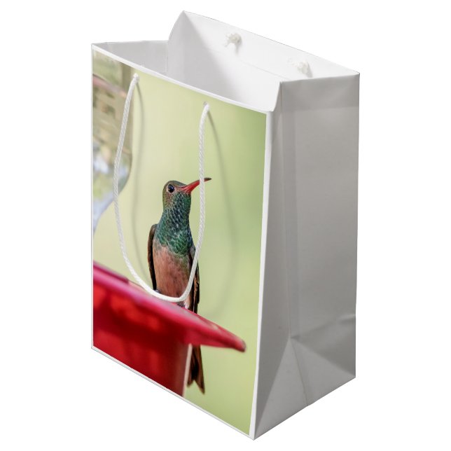 Buff-bellied hummingbird in Texas Medium Gift Bag (Front Angled)