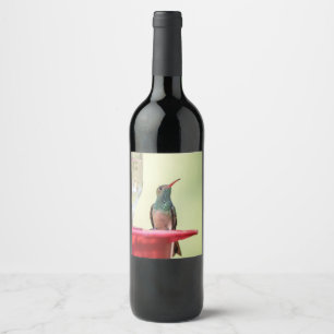 Buff-bellied hummingbird in Texas Wine Label