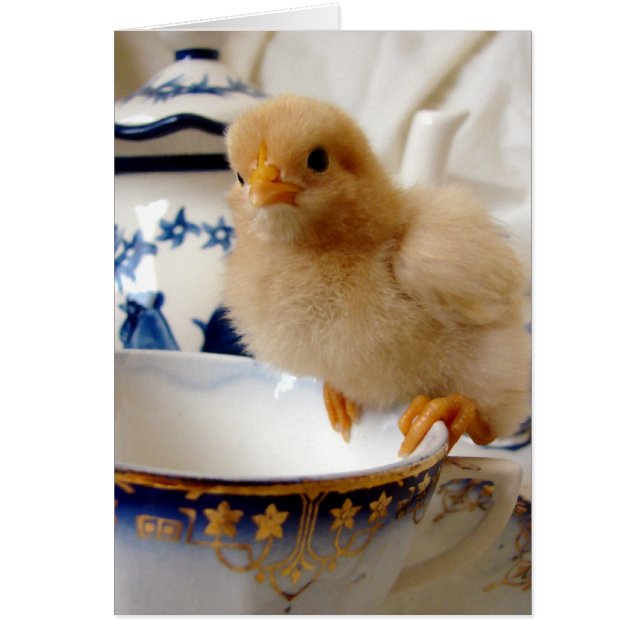 Buff Chick At Tea Cards (Front)