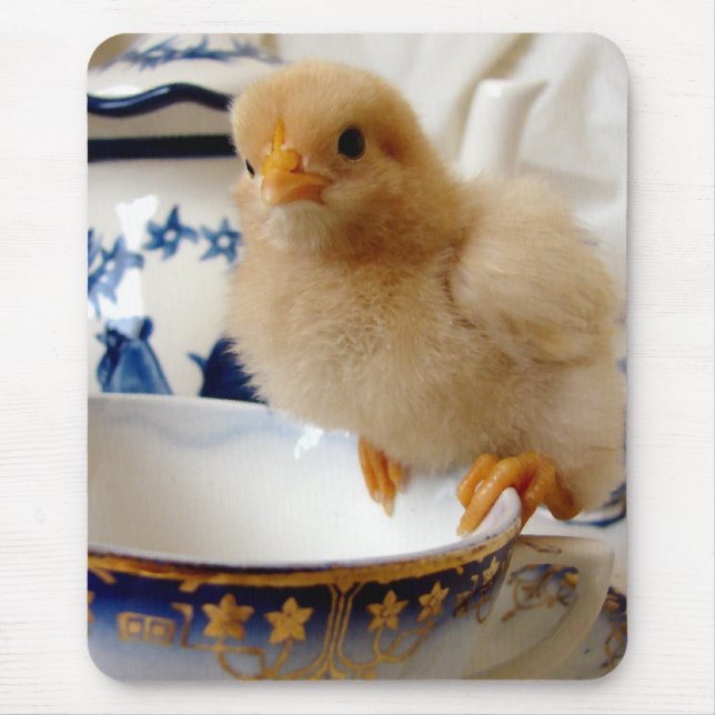 Buff Chick At Tea Mouse Pad (Front)