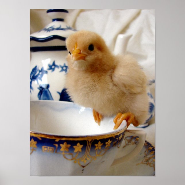 Buff Chick At Tea Poster (Front)