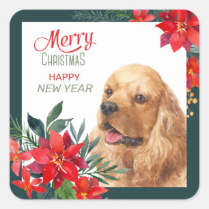 Buff Cocker Spaniel Dog Poinsettia Bouquet Square Sticker