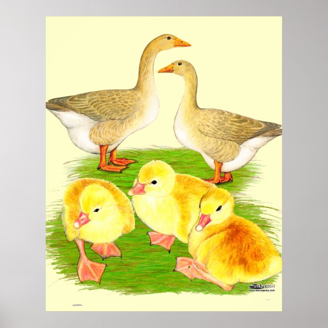 Buff Goose Family Poster (Front)