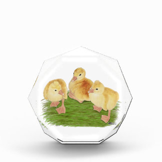 Buff Goslings Tufted Acrylic Award