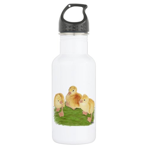 Buff Goslings Tufted Stainless Steel Water Bottle