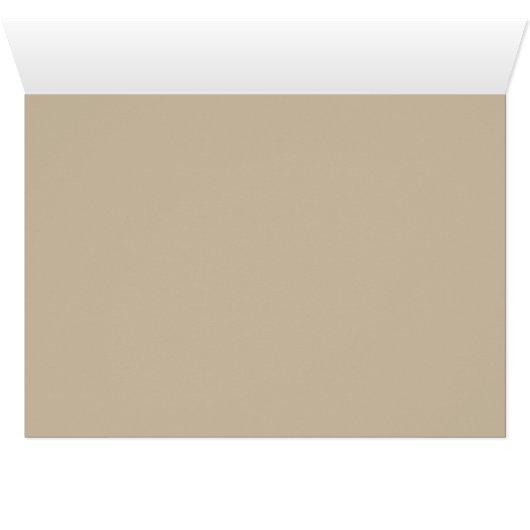 Buff Oriental Shorthair Cat (Inside Horizontal (Bottom))