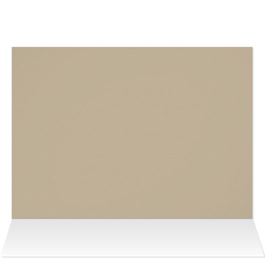 Buff Oriental Shorthair Cat (Inside Horizontal (Top))