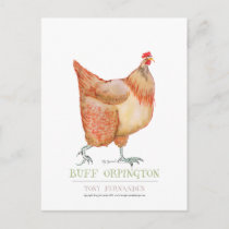 Buff Orpington hen, tony fernandes Postcard