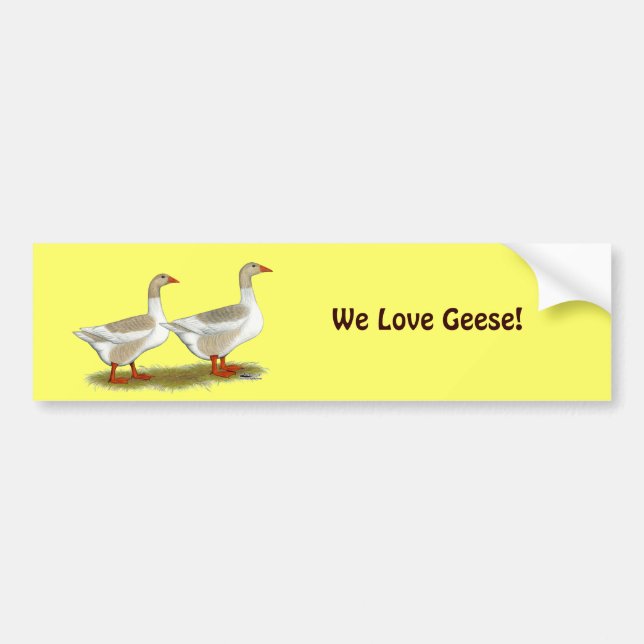 Buff Pomeranian Saddleback Geese Bumper Sticker (Front)
