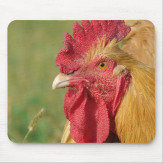 Buff Rooster Mouse Pad