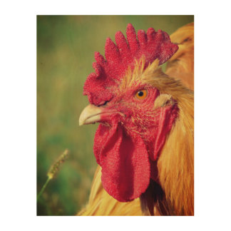 Buff Rooster Wood Wall Art