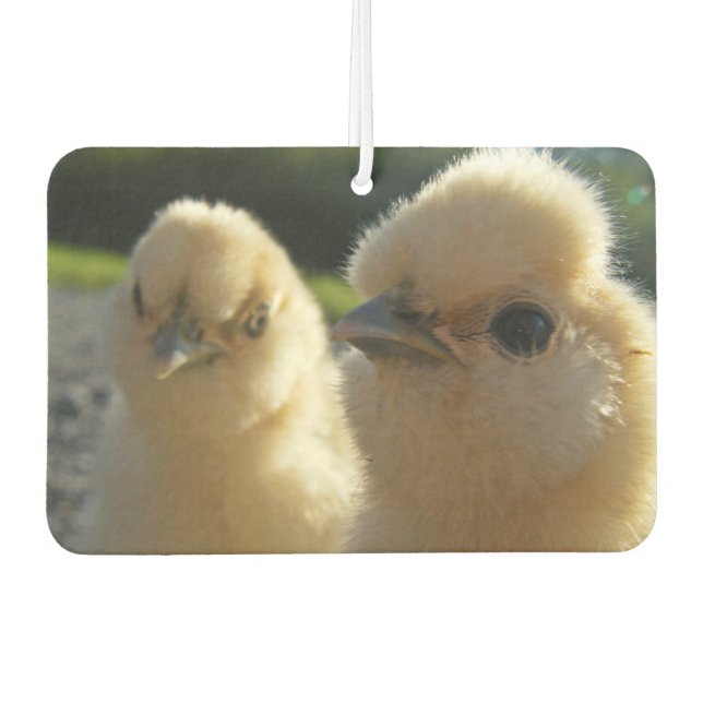 Buff Silkie Chicken Chick Air Freshener (Front)