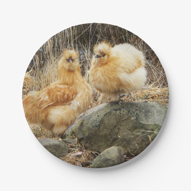 Buff Silkie Chickens Paper Plates (Front)