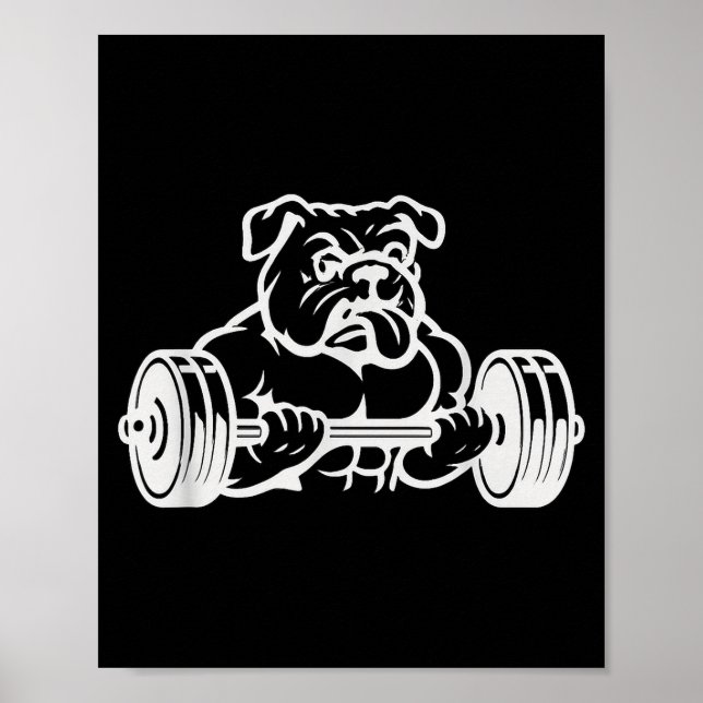Buff Strong Bull Dog Lifting Weights  Poster (Front)