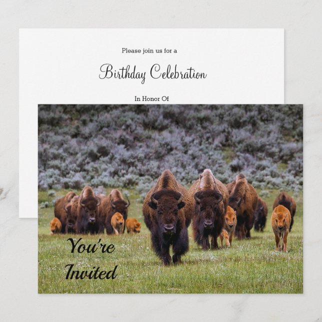 Buffalo 2 Birthday Invitation (Front/Back)