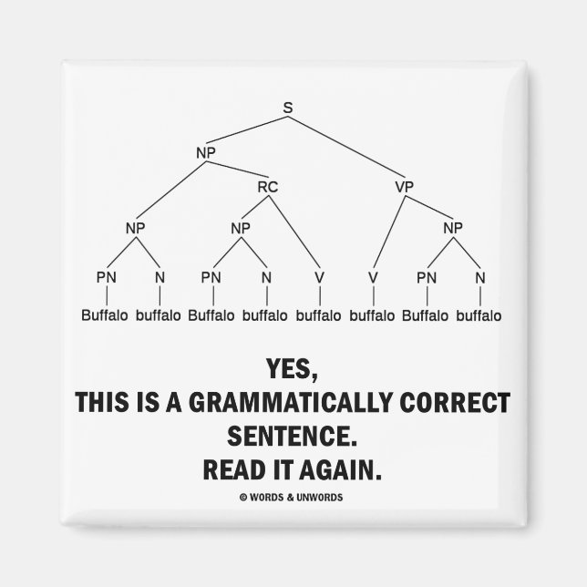 Buffalo (8 Times) Grammatically Correct Sentence Magnet (Front)