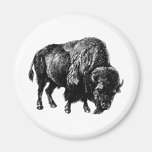 Buffalo American Bison Magnet