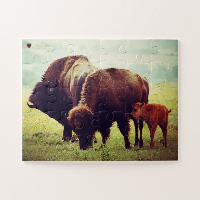Buffalo and Calf Oklahoma Jigsaw Puzzle (Horizontal)