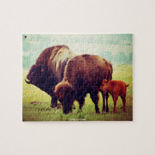 Buffalo and Calves Jigsaw Puzzle