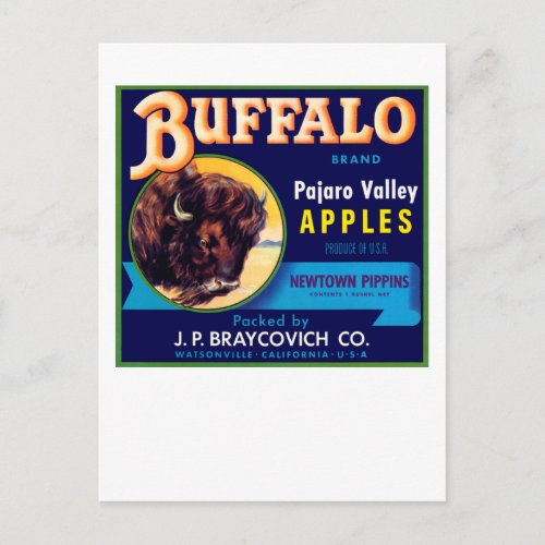 Buffalo Apples Postcard