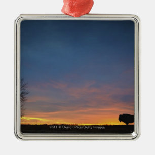 Buffalo At Sunset In Elk Island National Park Metal Ornament