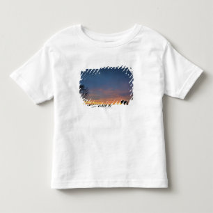 Buffalo At Sunset In Elk Island National Park Toddler T-shirt