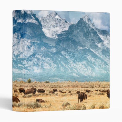 Buffalo Below the Grand Teton Mountains 3 Ring Binder