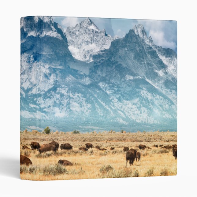 Buffalo Below the Grand Teton Mountains 3 Ring Binder (Front/Spine)