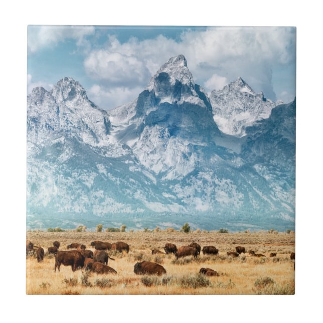 Buffalo Below the Grand Teton Mountains Ceramic Tile (Front)