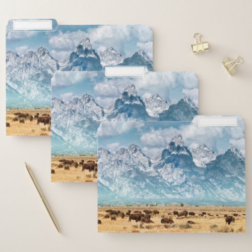 Buffalo Below the Grand Teton Mountains File Folder