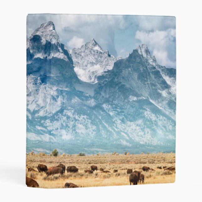 Buffalo Below the Grand Teton Mountains Mini Binder (Front/Spine)