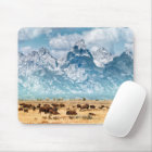 Buffalo Below the Grand Teton Mountains