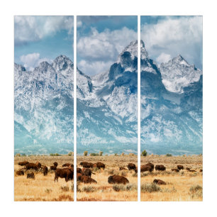 Buffalo Below the Grand Teton Mountains Triptych