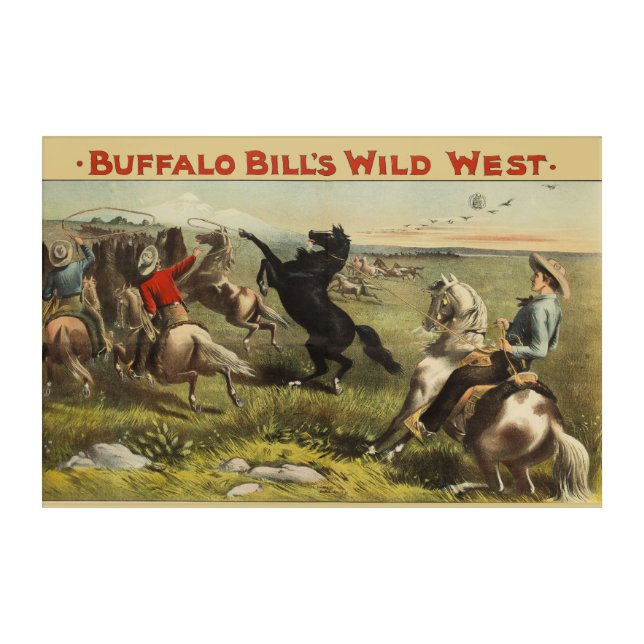 Buffalo Bill's Wild West Horses Acrylic Print (Front)