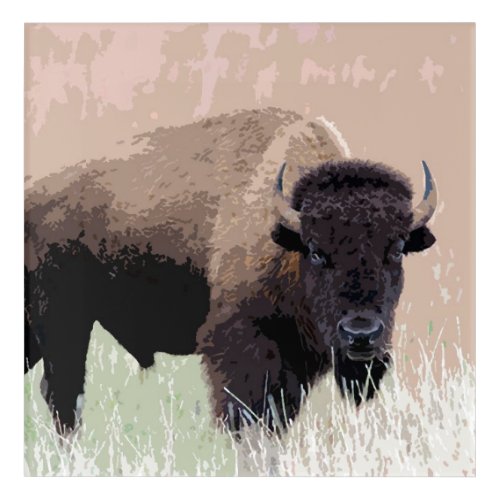 Buffalo  Bison Acrylic Print