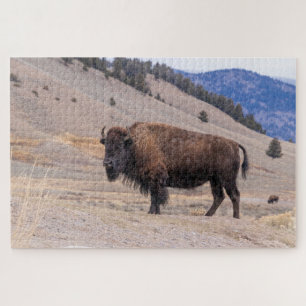 Buffalo Bison American Wildlife Jigsaw Puzzle