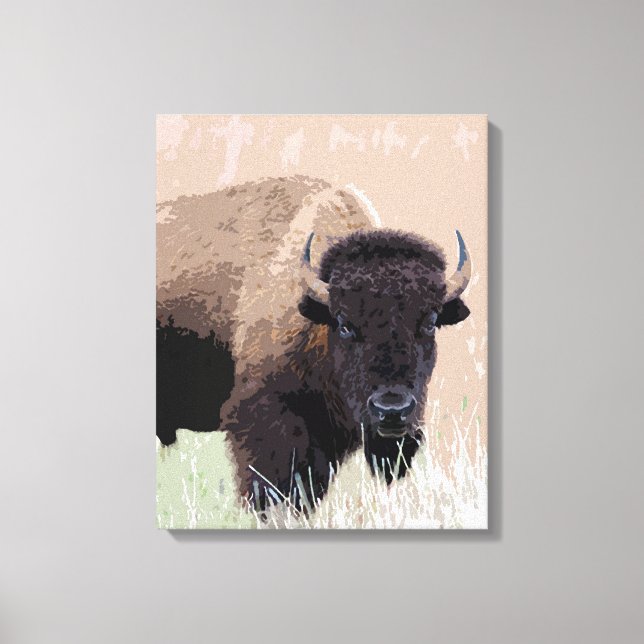 Buffalo / Bison Canvas Print (Front)
