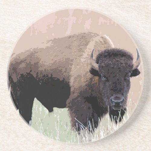 Buffalo  Bison Coaster