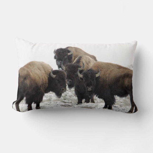 Buffalo Bison Decorative Throw Pillow (Front)
