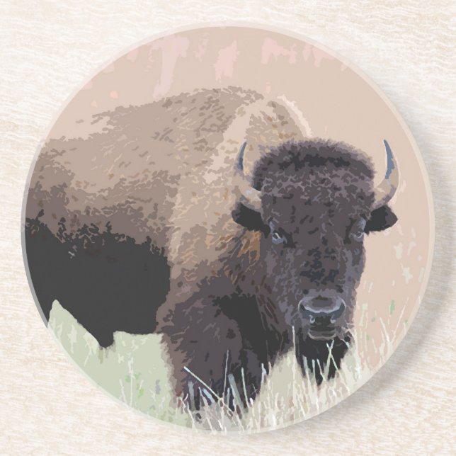 Buffalo / Bison Drink Coaster (Front)