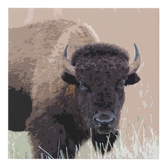 Buffalo / Bison Faux Canvas Print (Front)