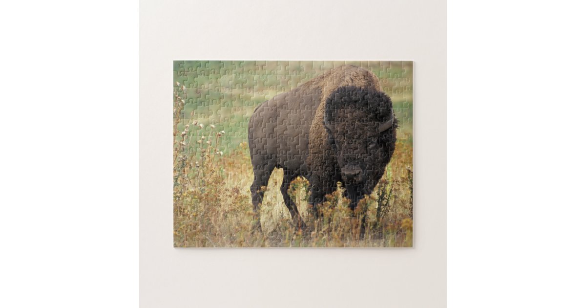 Buffalo Bison Jigsaw Puzzle | Zazzle