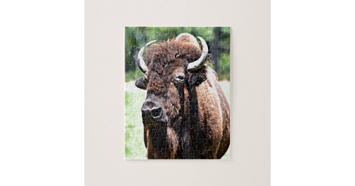 Buffalo (Bison) Jigsaw Puzzle | Zazzle Buffalo (Bison) Jigsaw Puzzle | Zazzle