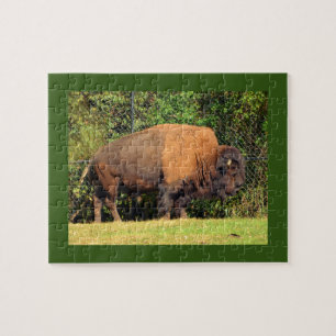 Buffalo (Bison) Kansas, Oklahoma, Wyoming Jigsaw Puzzle
