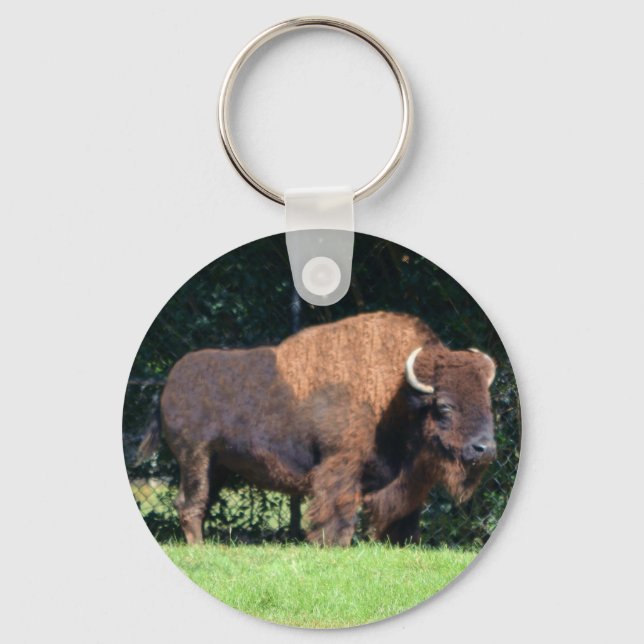 Buffalo (Bison) Kansas, Oklahoma, Wyoming Keychain (Front)