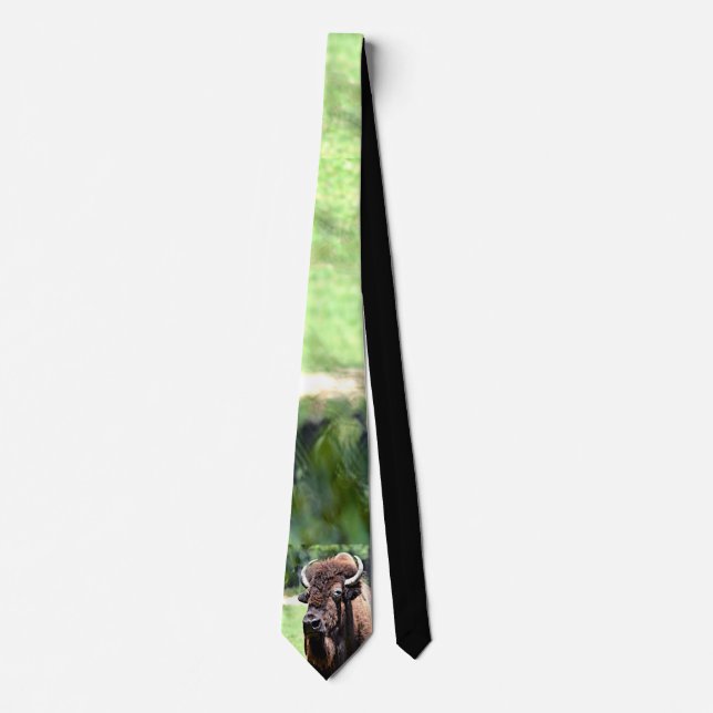 Buffalo (Bison) Kansas, Oklahoma, Wyoming Neck Tie (Front)